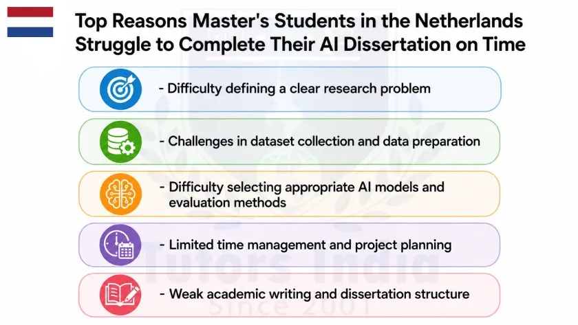 Master's Dissertation Services in Netherlands