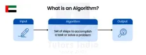 Master's Coding and Algorithm Help in UAE